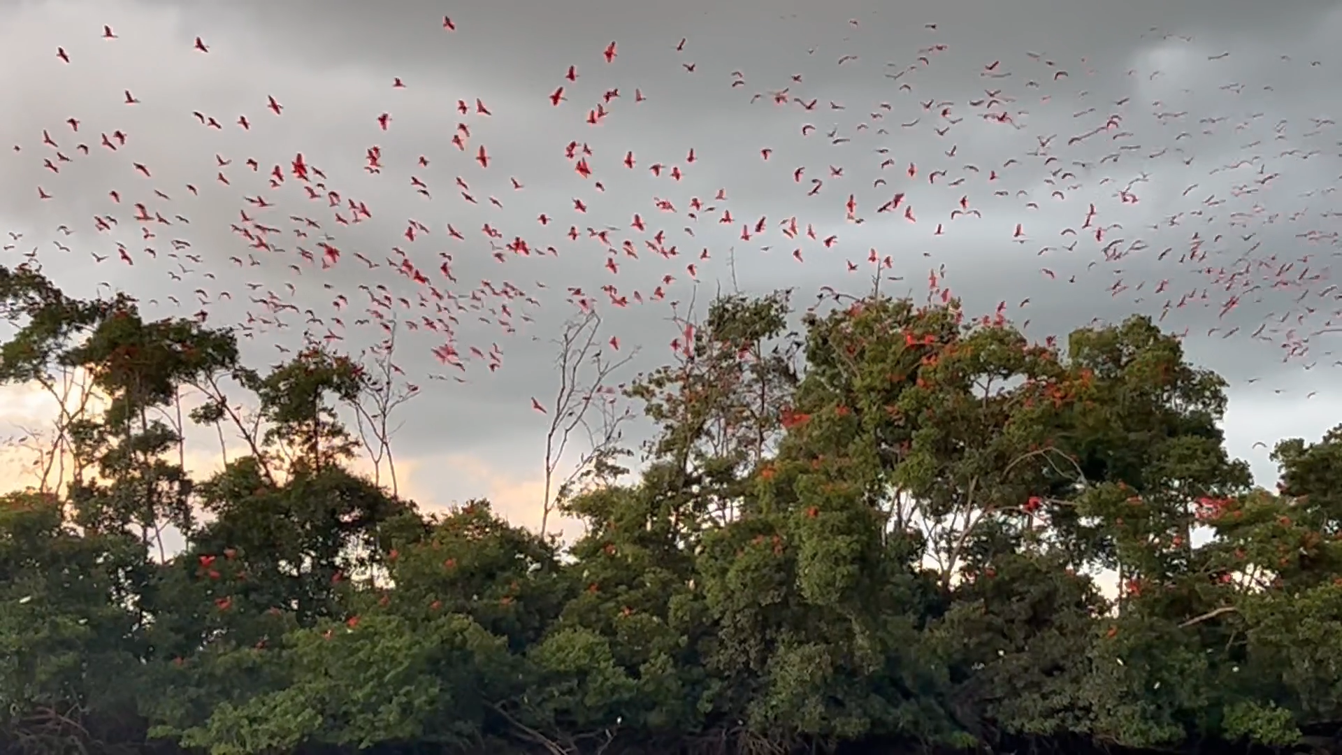 Rota das emoções