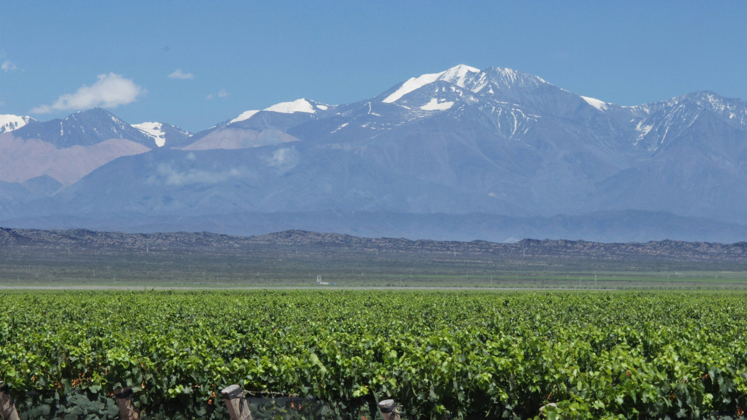 Mendoza Clássica