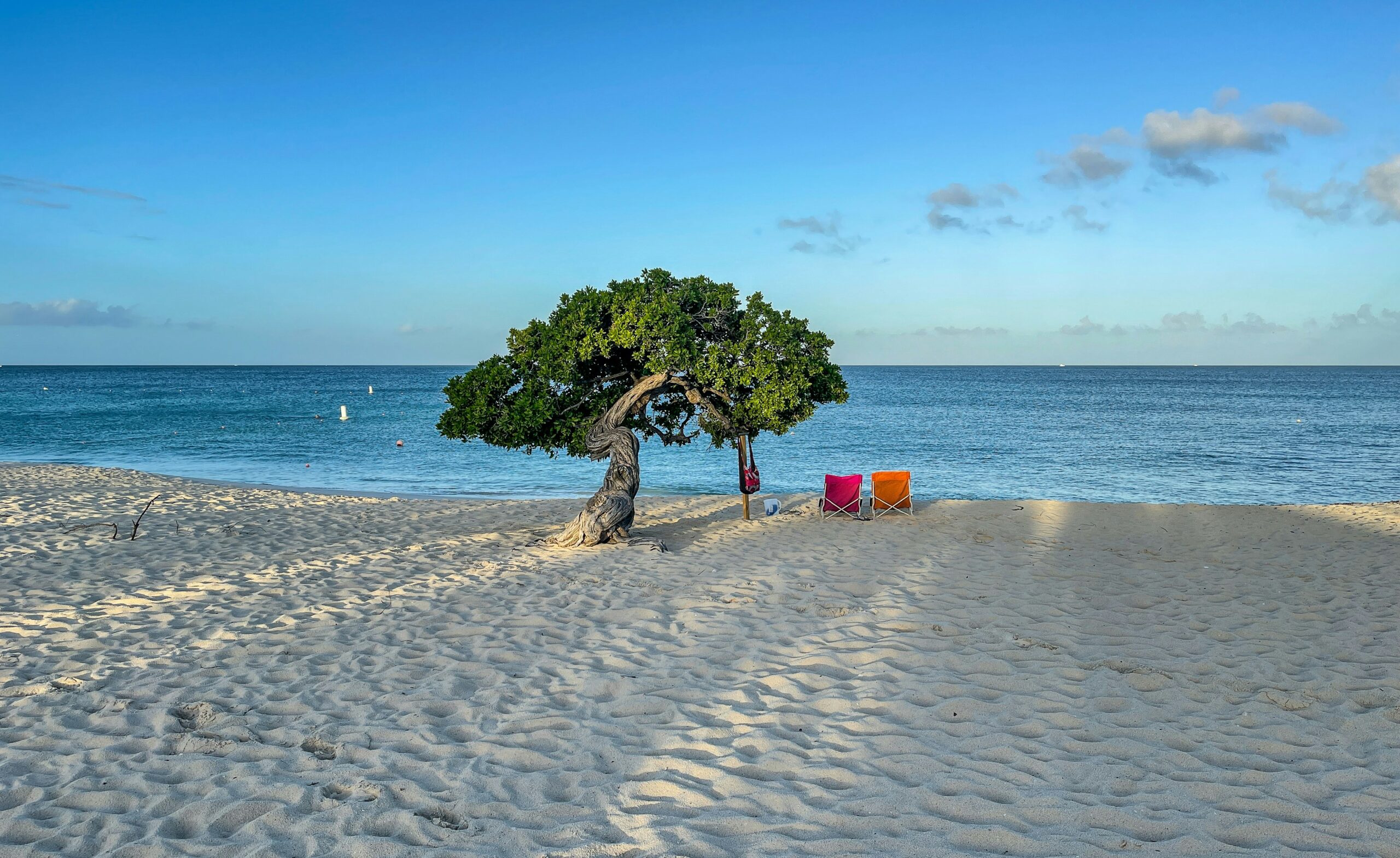 Aruba essencial